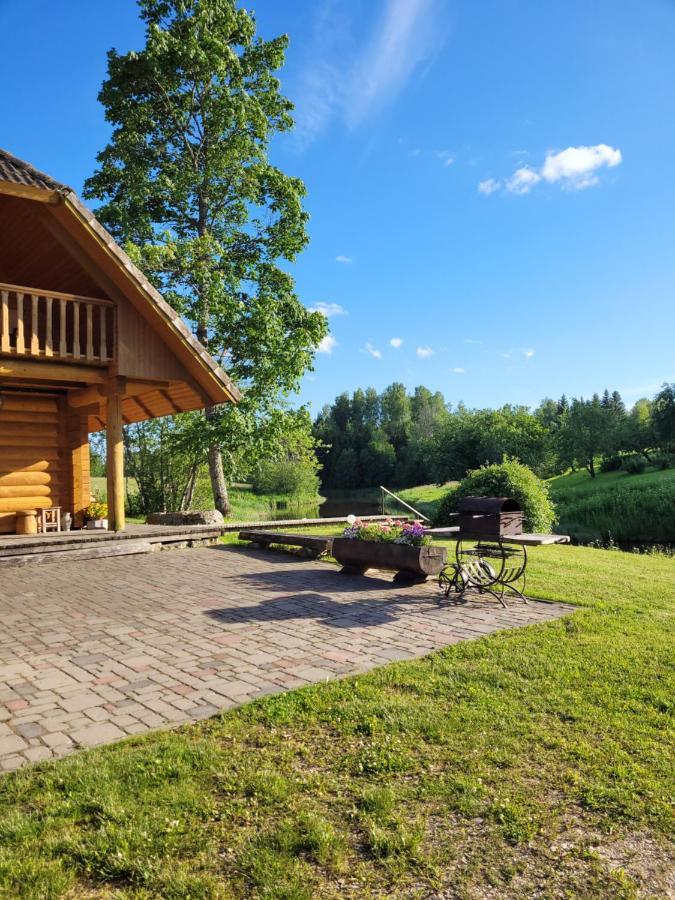 Brivdienu Maja Ar Pirti "Strautkalni" Ieriki Buitenkant foto