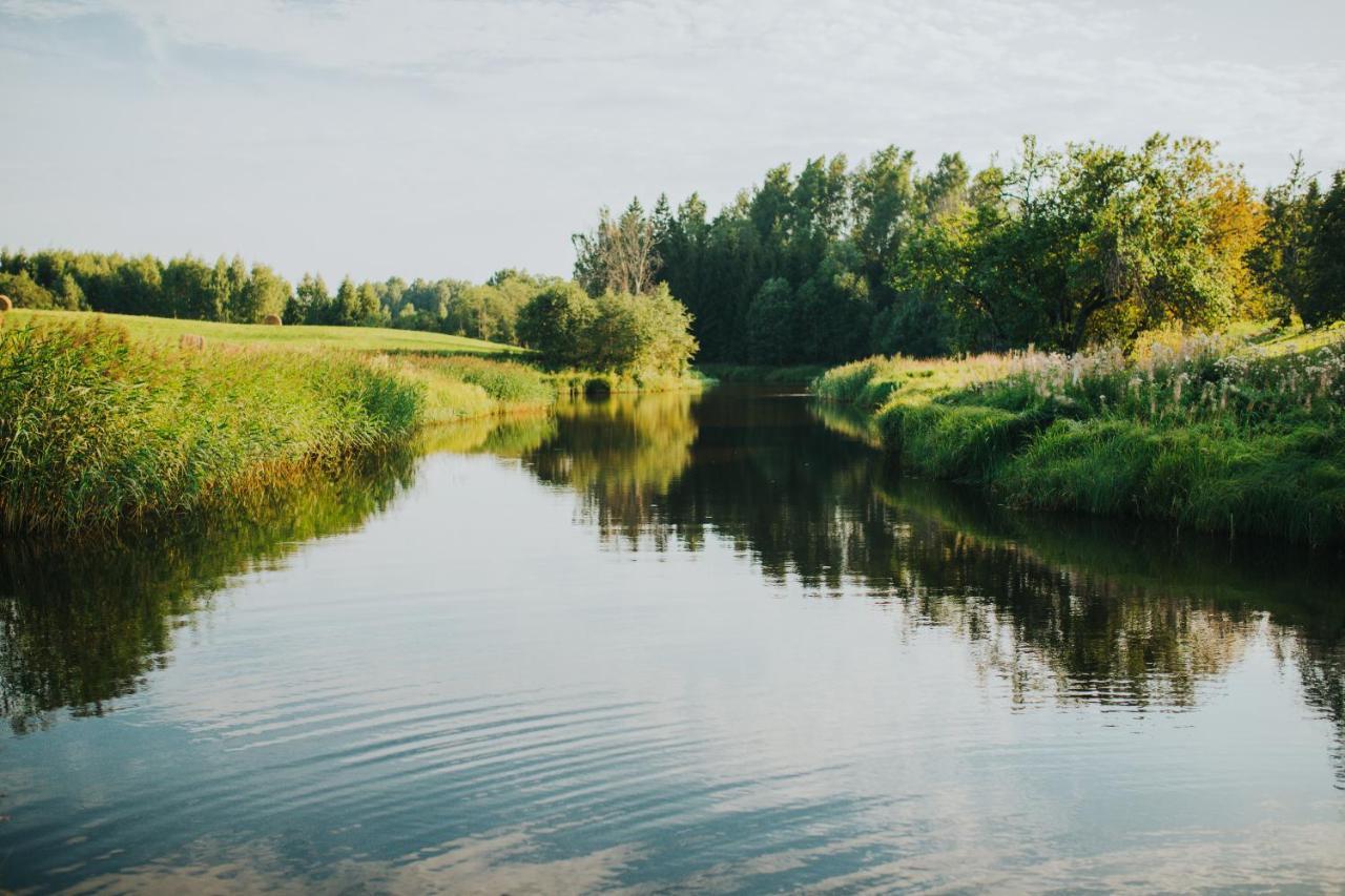Brivdienu Maja Ar Pirti "Strautkalni" Ieriki Buitenkant foto